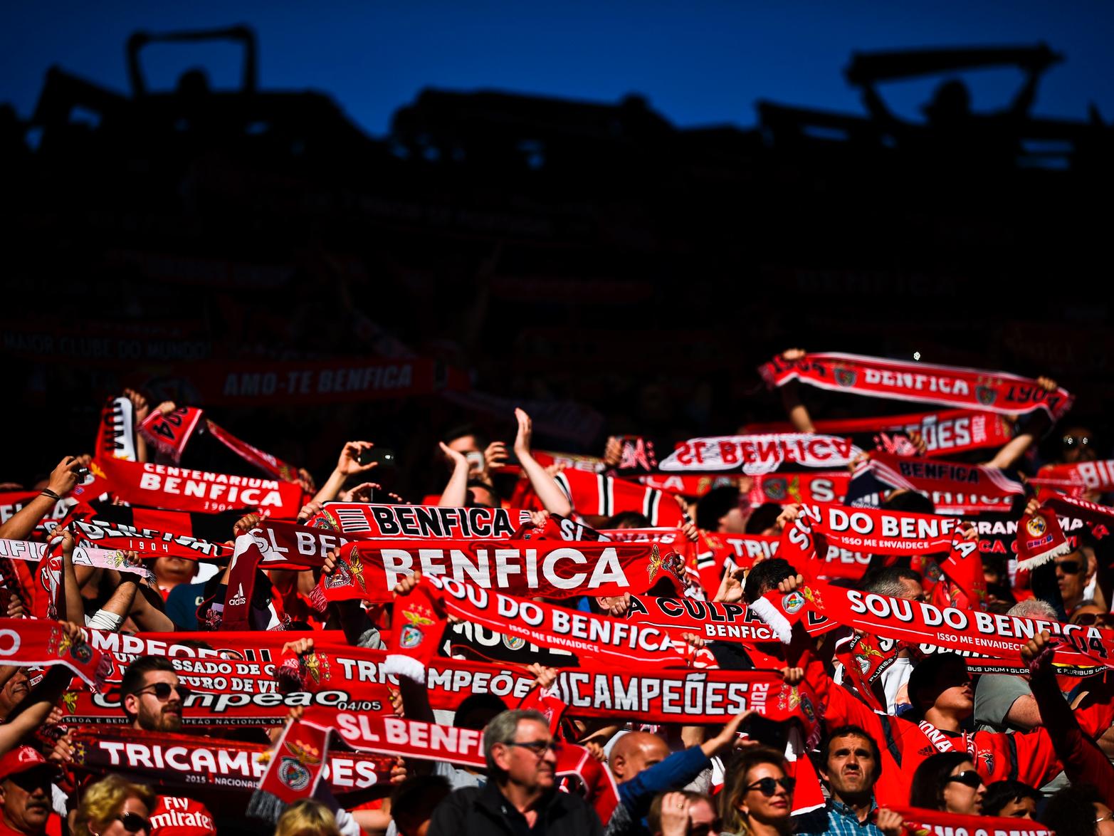 Sheffield Wednesday scouts are said to have overseen Benfica's 1-0 win over Vitoria Setuba last weekend, as the club continue to formulate plans for future transfer windows. (Sport Witness)