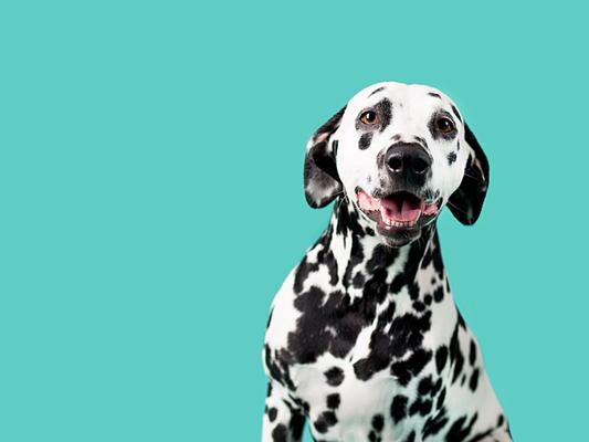 The name Millie continues to be popular, claiming the ninth spot in the list.