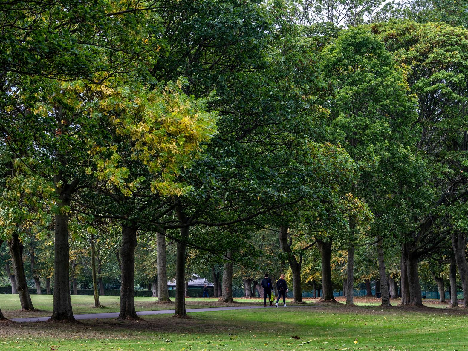 New research suggests that prescribing contact with nature to people with poor mental health would improve their wellbeing