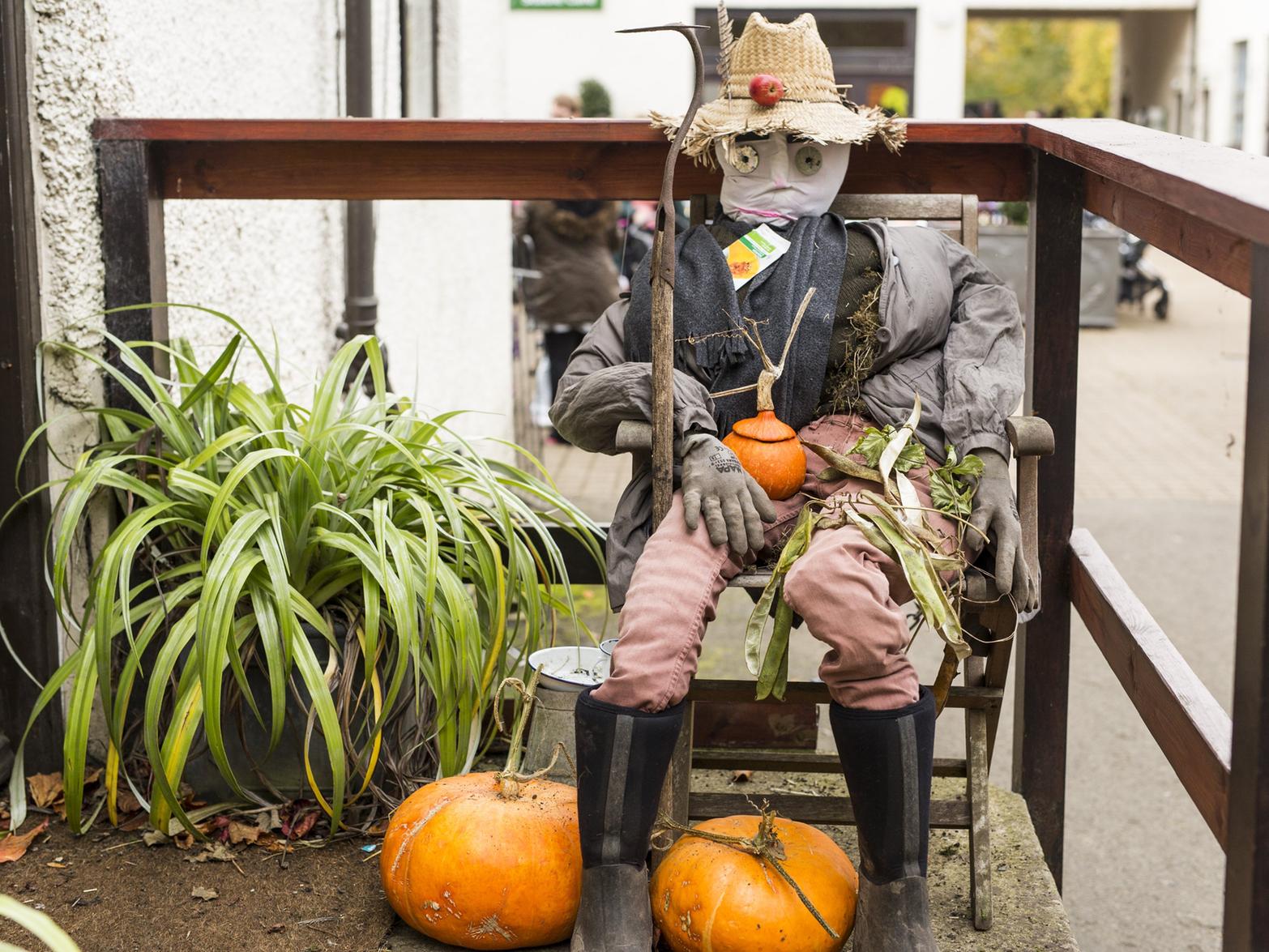 Walk through the haunted woods and a town full of skeletons at Lotherton. The estates spooky scarecrow trail returns from Oct 26 until Nov 3 featuring Scarecrow Skeletown and scary side of the Wild West.