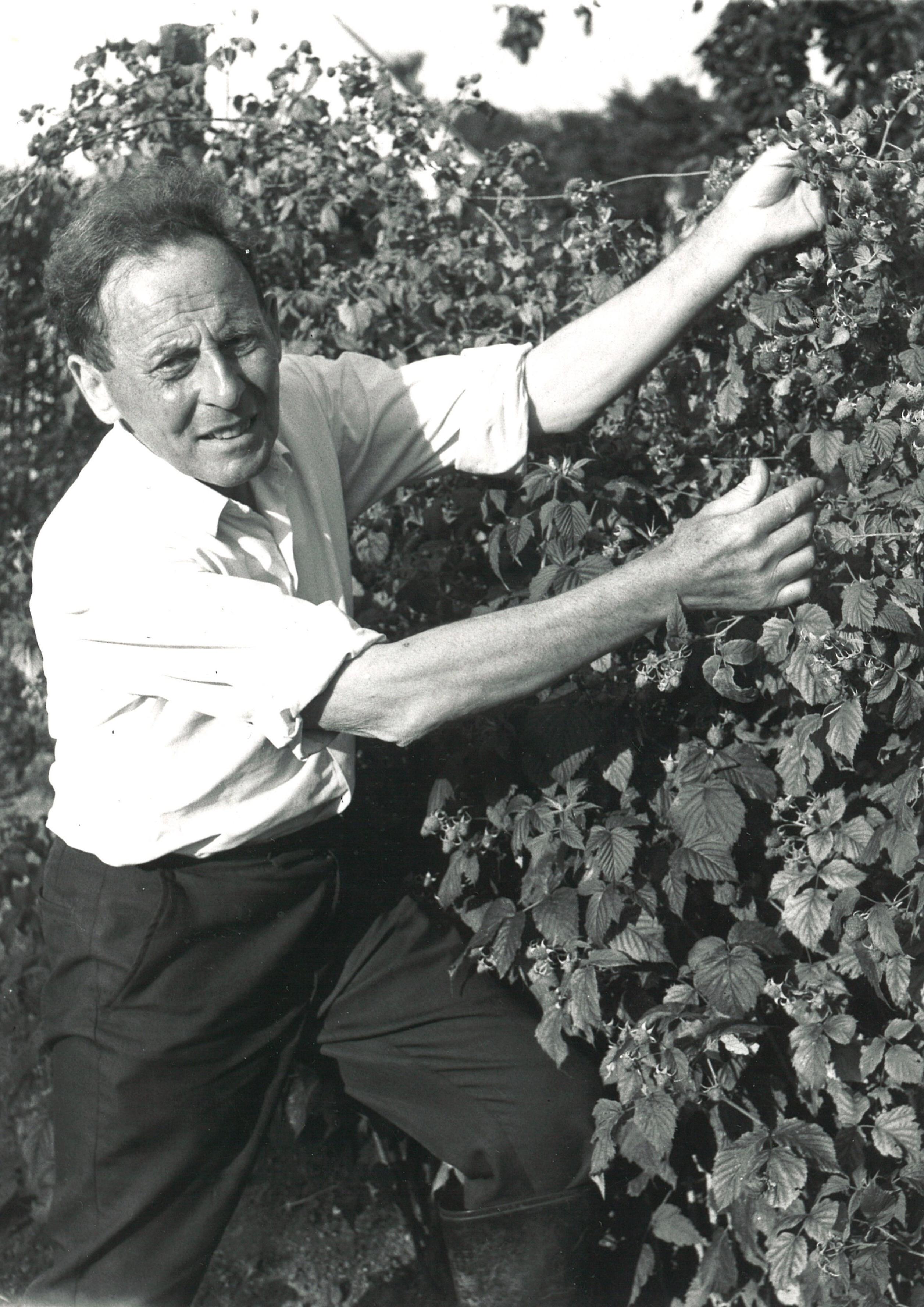Black and white photograph of Vegan Society co-founder Donald Watson.
