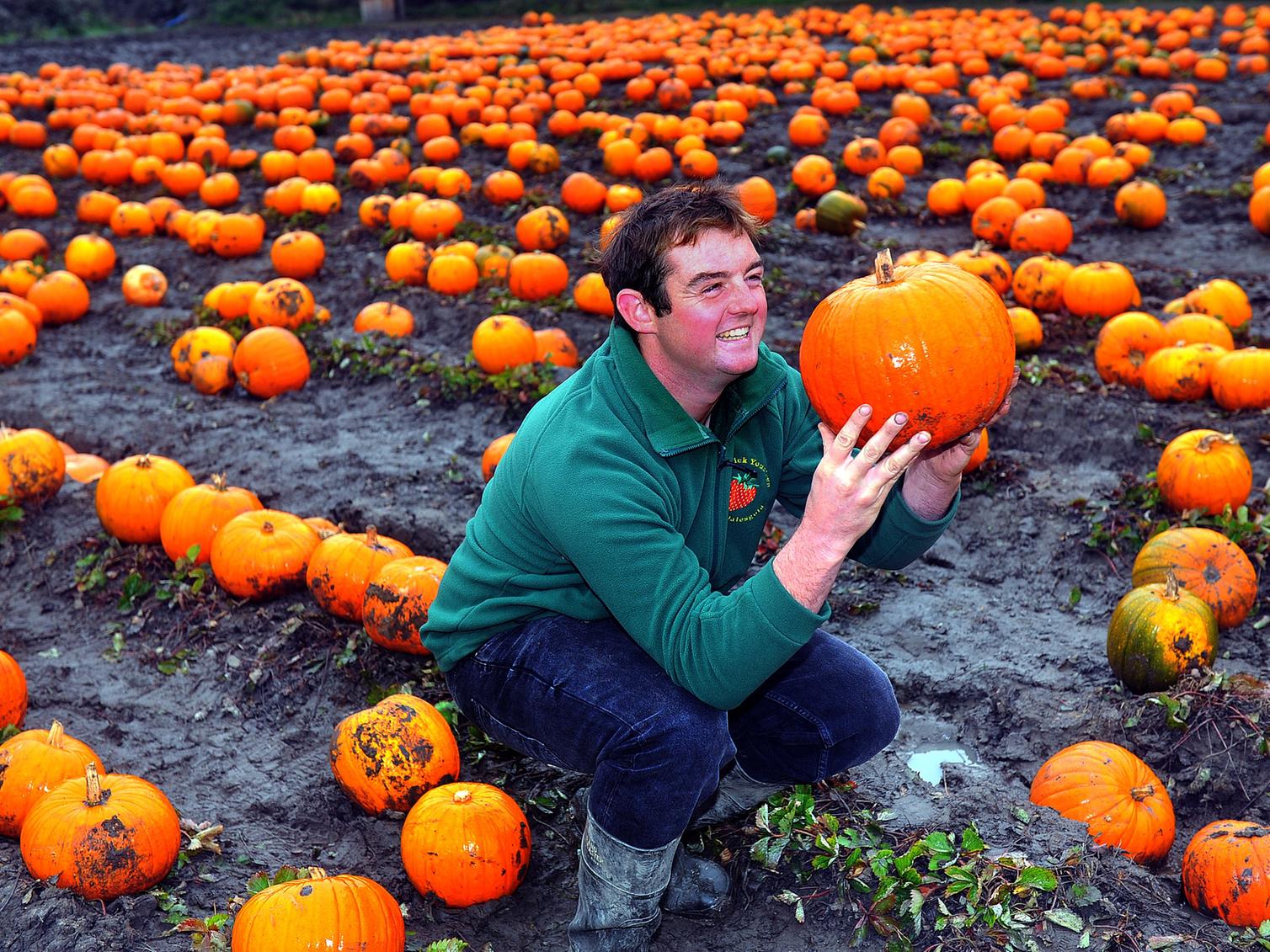 Joe Kemp checking a giant pumpkin at West End Lane Farm, LS18 5ES (open daily, October 18-31, 10am-5pm, no booking required).