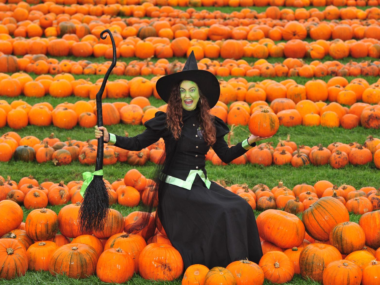 Annie the witch in the pumpkin field at Stockeld Park, LS22 4AN (open daily, October 26 - 31, 10.30am - 5.30pm, booking required).