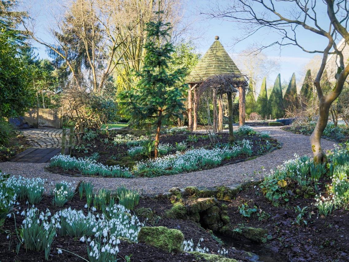 Adel's York Gate garden packs quite a punch for its one acre proportions. It never fails to intrigue its visitors with its fourteen garden rooms, linked by a series of clever vistas.