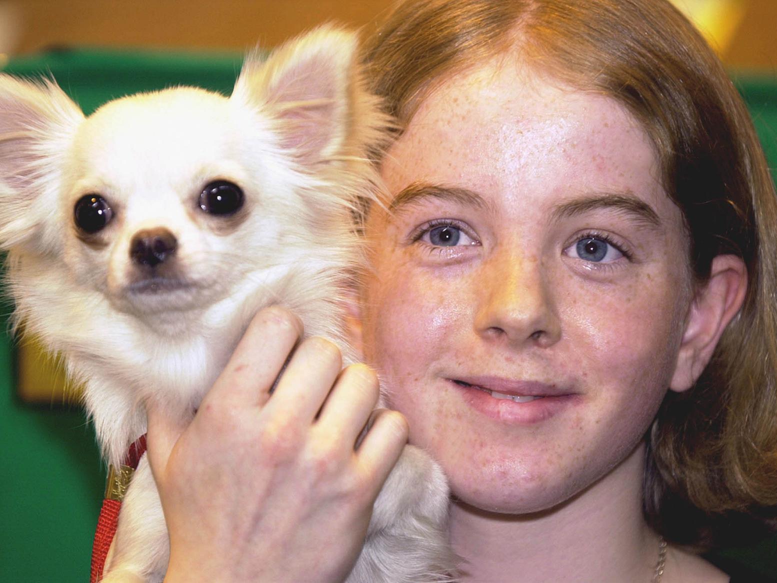 Shauna the Chihuahua with Rebecca Hargeaves of Leeds after competing at Crufts.