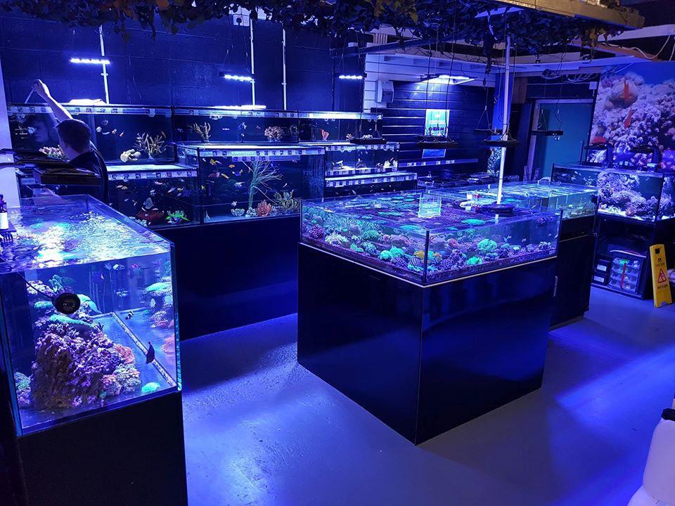 Here is a list of popular aquariums in Lancashire