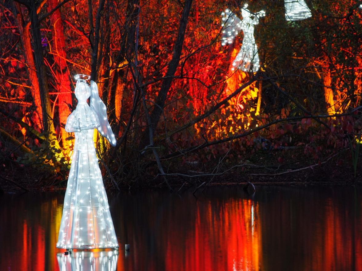 Wrap up warm, grab a hot chocolate from the cafe and stroll around Stockeld Park's Enchanted Forest as it comes to life with light.