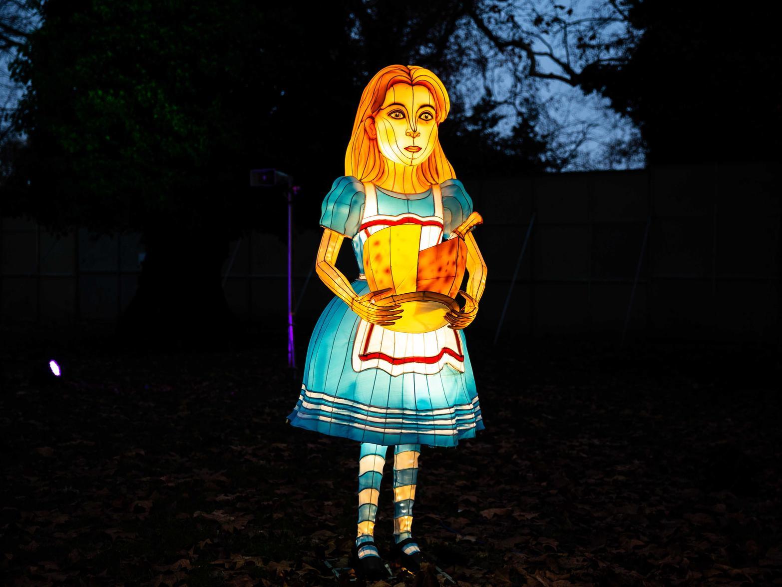 Lightwater Valley is set for a magical experience as huge Alice in Wonderland figures illuminate the park this Christmas. The trail is open Friday, Saturday and Sunday from November 22  December 15 and then on Friday, Saturday, Sunday and Monday from  December 20-30. Doors open at 4pm with last entry at 7pm.