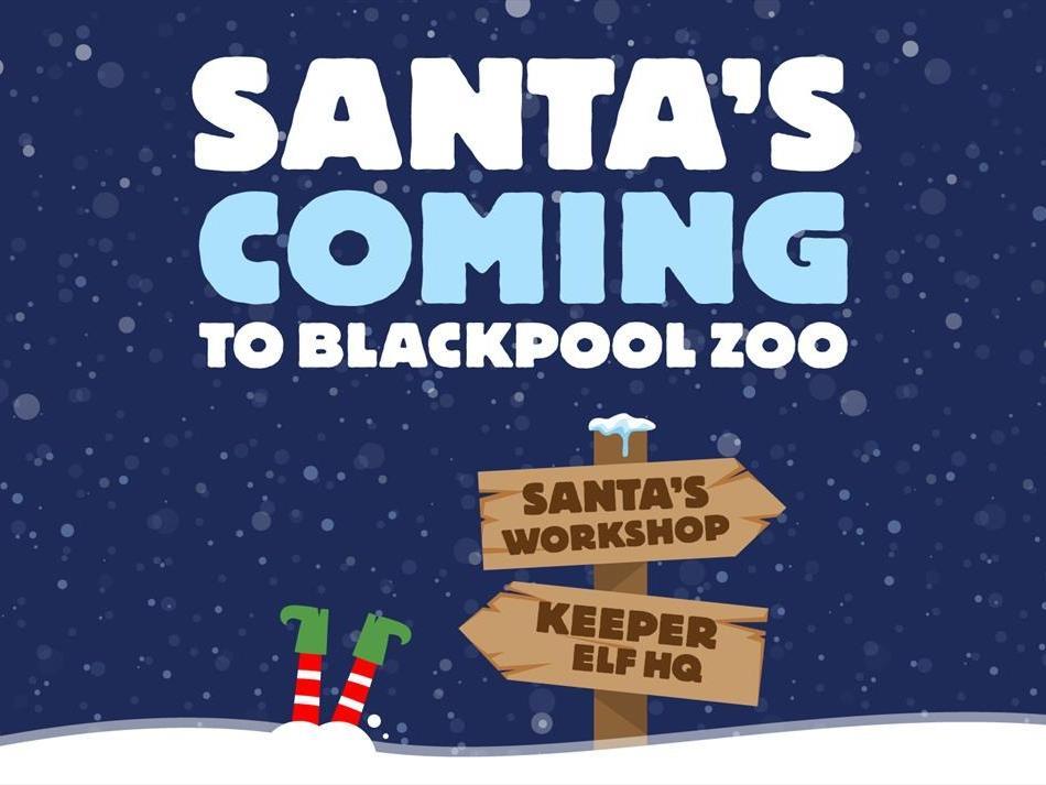 December 7, 8, 14 & 21 | 6.50 per child (does not include Zoo admission) All children aged 3 and over and adults will require a Zoo admission ticket. Children under 3 years will require a Meet Santa ticket only.