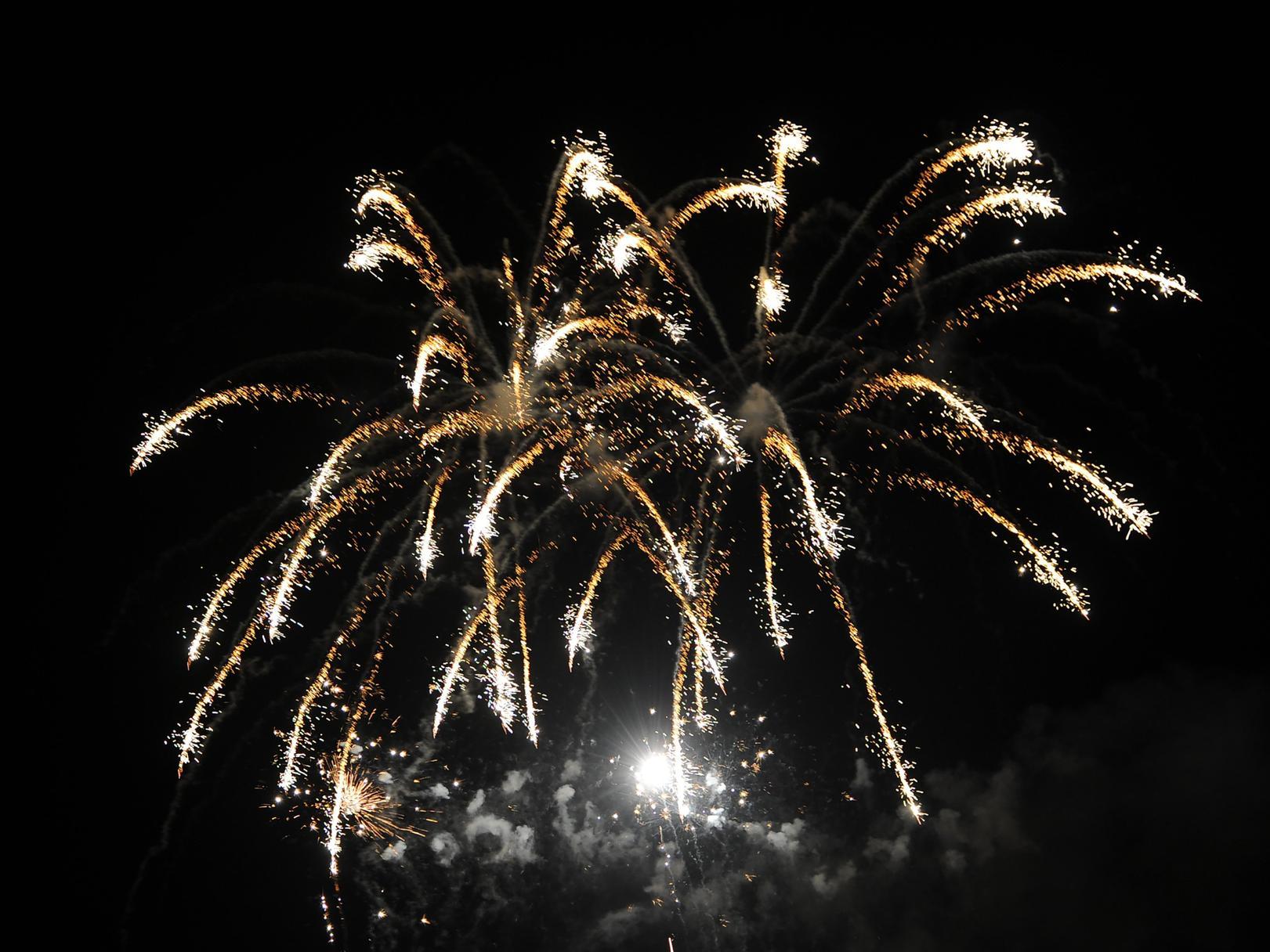 Councillors claim the 'antisocial use of fireworks' needs to be investigated.