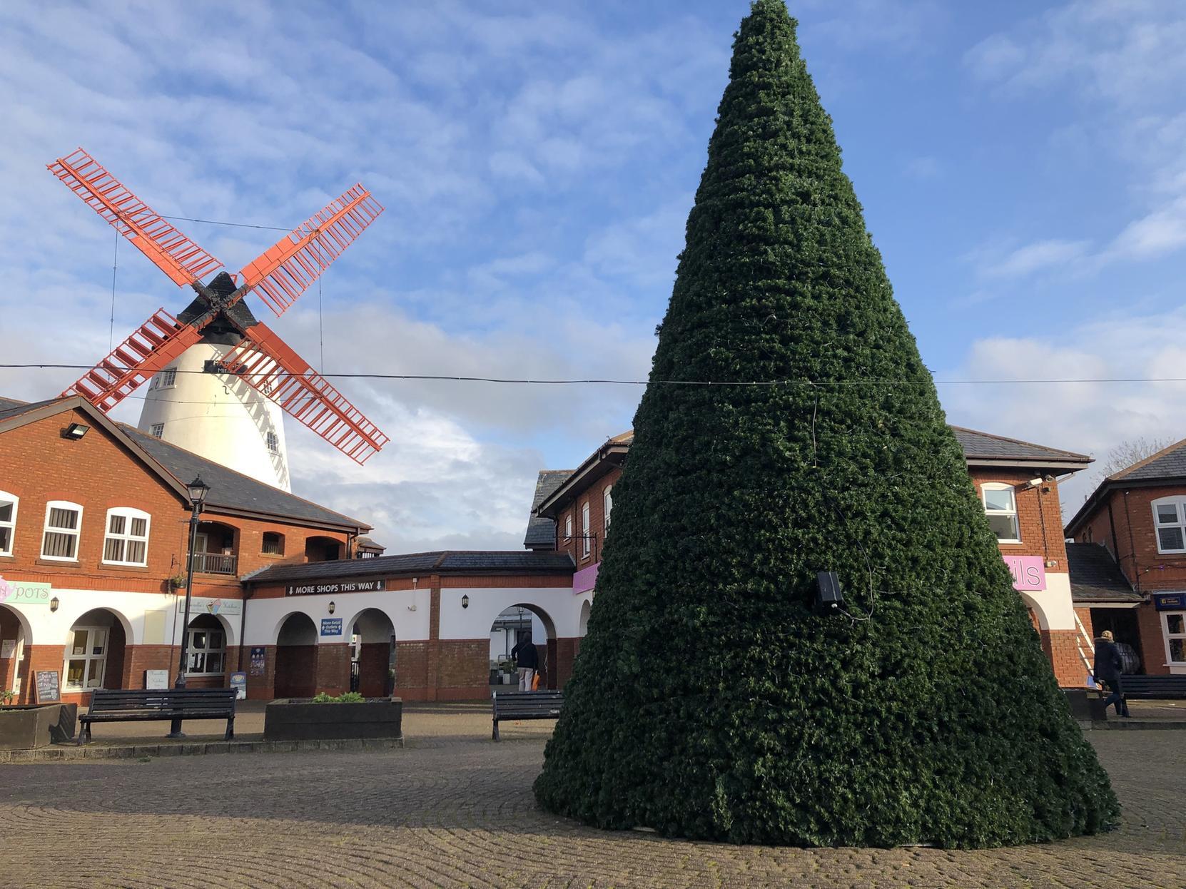 The Marsh Mill tree all set for the Switch-On