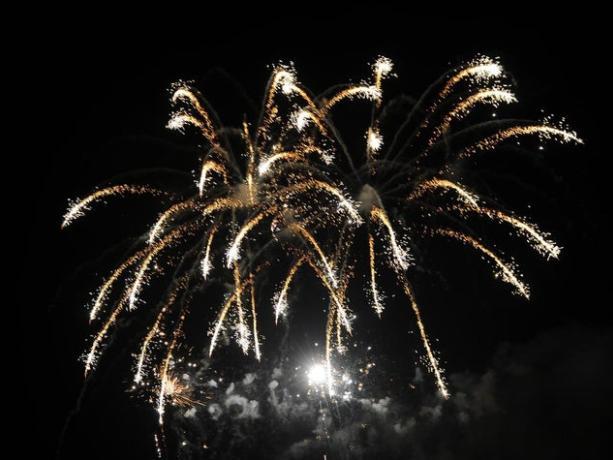 Councillors claim firework displays are blighting the lives of citizens.