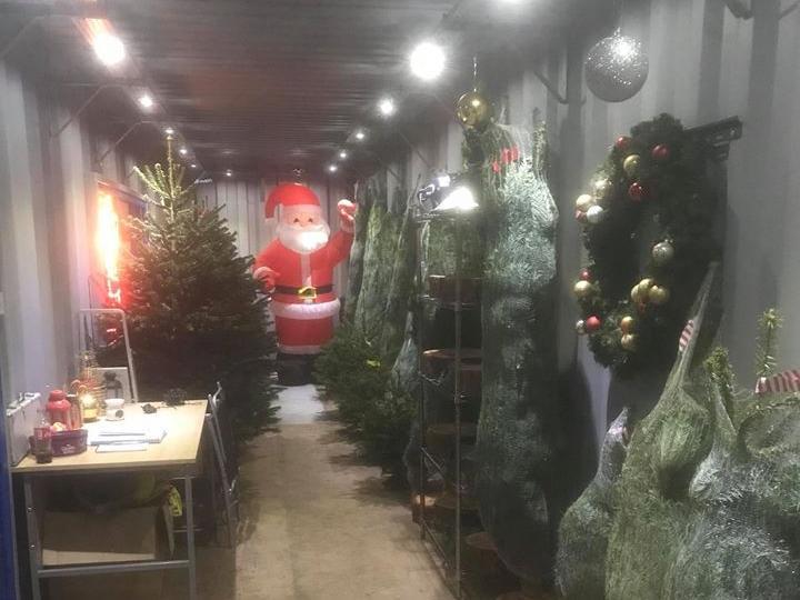 Fleetwood Christmas Trees