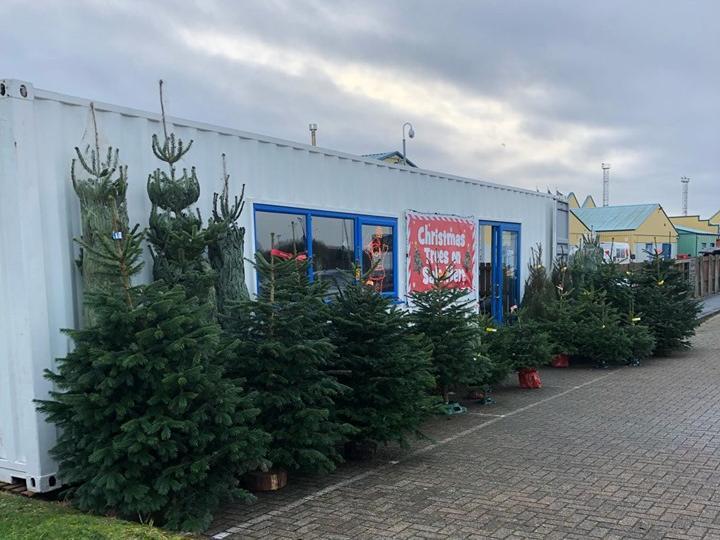 Located at Affinity outlet, behind Home Bargains, in Fleetwood, the firm supplies non-drop Nordmann fir trees of a variety of sizes, with a free stand.
There are also other outdoor varieties to choose from.