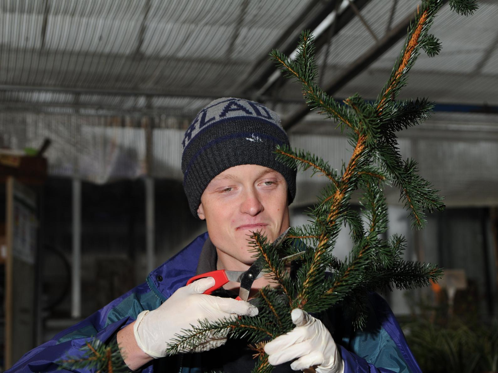 Scott Tesseyman trimming conifer pieces for the wreaths.