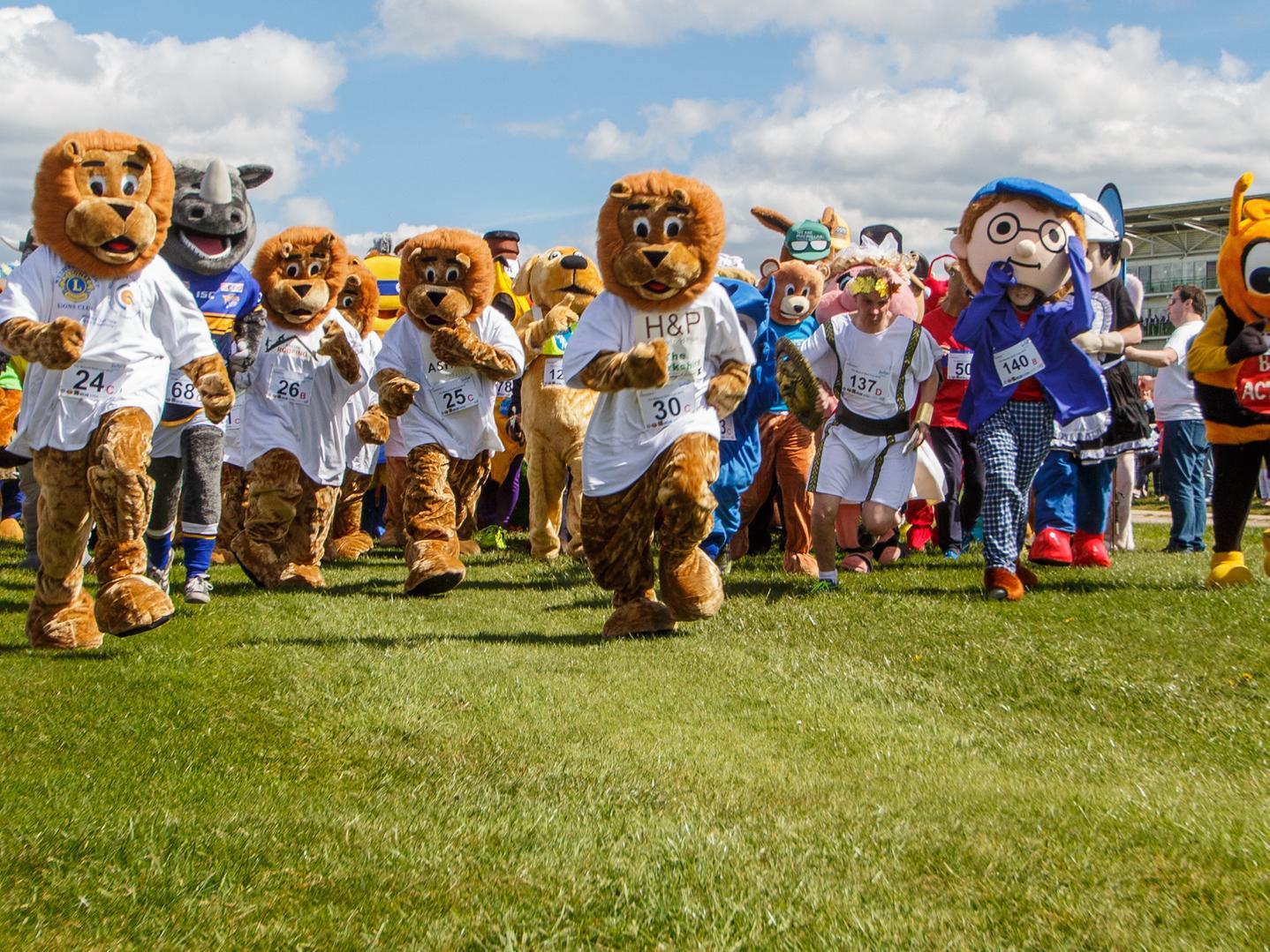 The largest mascot race was completed by 125 participants, at an event organised by The Sue Ryder Manorlands Hospice (UK) at Wetherby Racecourse, in West Yorkshire, UK, on 26 April 2015.