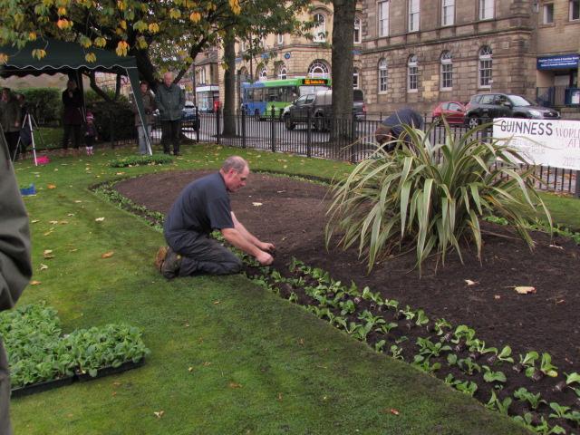 The most plug plants planted in one hour by an individual is 3,336 and was achieved by Steve Thorpe (UK), in Keighley, Bradford, West Yorkshire, UK on 24 October 2015.