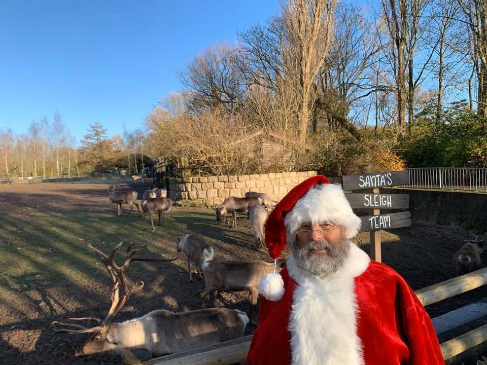 Reindeer stay at Blackpool Zoo all year round as part of the normal zoo entry fee.
But if youngsters wish to see Santa too there is an extra 6.50 charge. Availability is now only December 23.