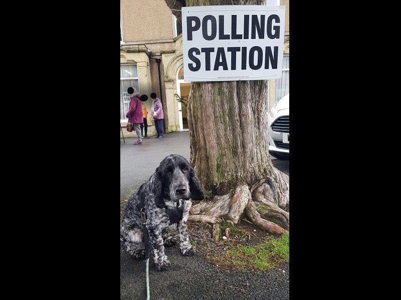 Jane Dempsey (@mrsd1995) tweeted this pic, with this message: "Well there seems to be a good turn out at my polling station including Stanley."