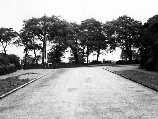 This view from July 1952 looks up Cookridge Lane at the junction with Green Lane. A telegraph pole and a woman can be seen.
