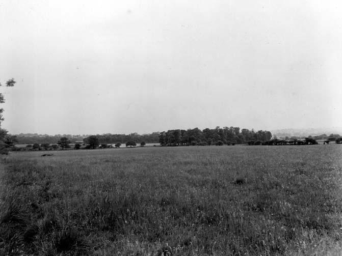 A view of open fields in July 1951 with Beck Plantation in the distance, near Derbyshire Lane.