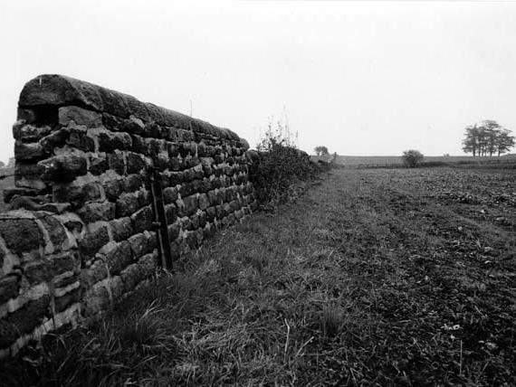 Situated to the east side of Cookridge Hall, an 11 acre field. In the 1800s it was used for hare-coursing, a seven foot stone wall surrounded the field.