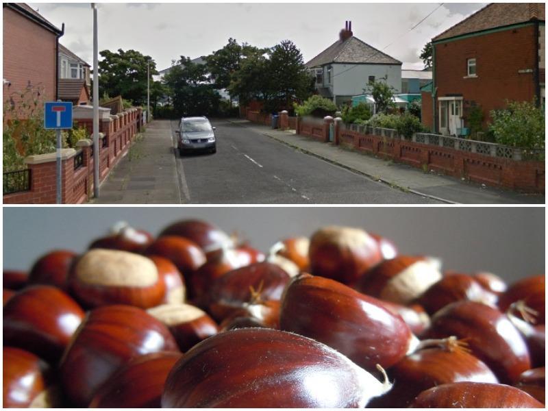Chestnut is a popular Christmas treat as well as a popular street name in Blackpool.