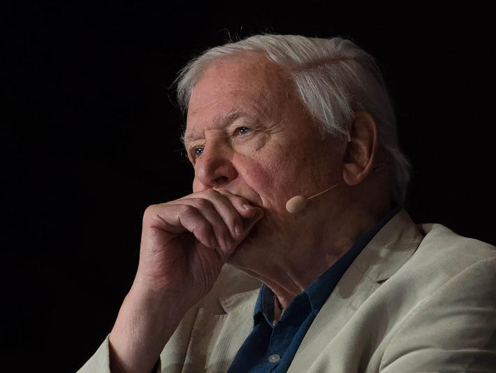 David Attenborough's speech on climate change in parliament moved thousands with his powerful and emotional delivery: "It is their world that we're playing with. It is their future in our hands."
