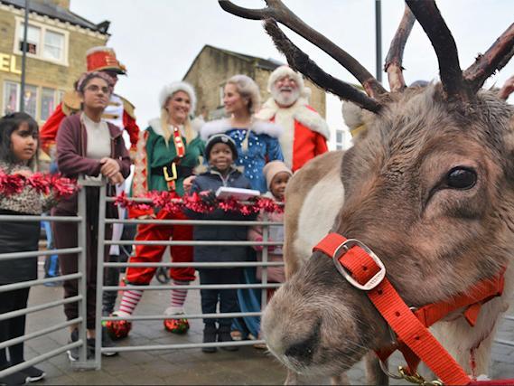 Reindeer landed in town
