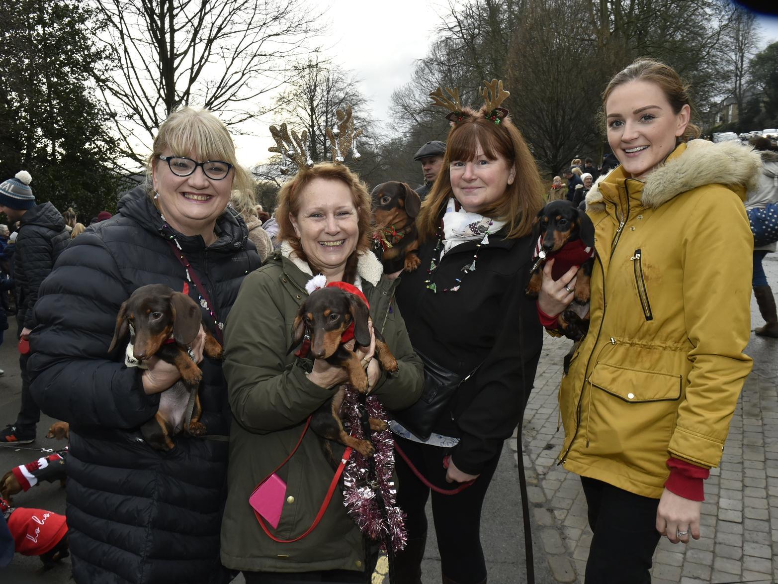 Annual Dachshund walk at Roundhay Park, Leeds
