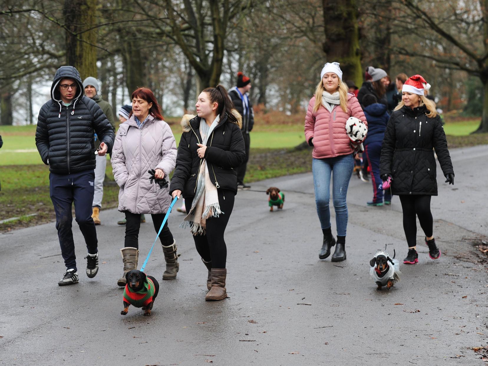 Hundreds of Dachshunds and their owners gathered for the walk