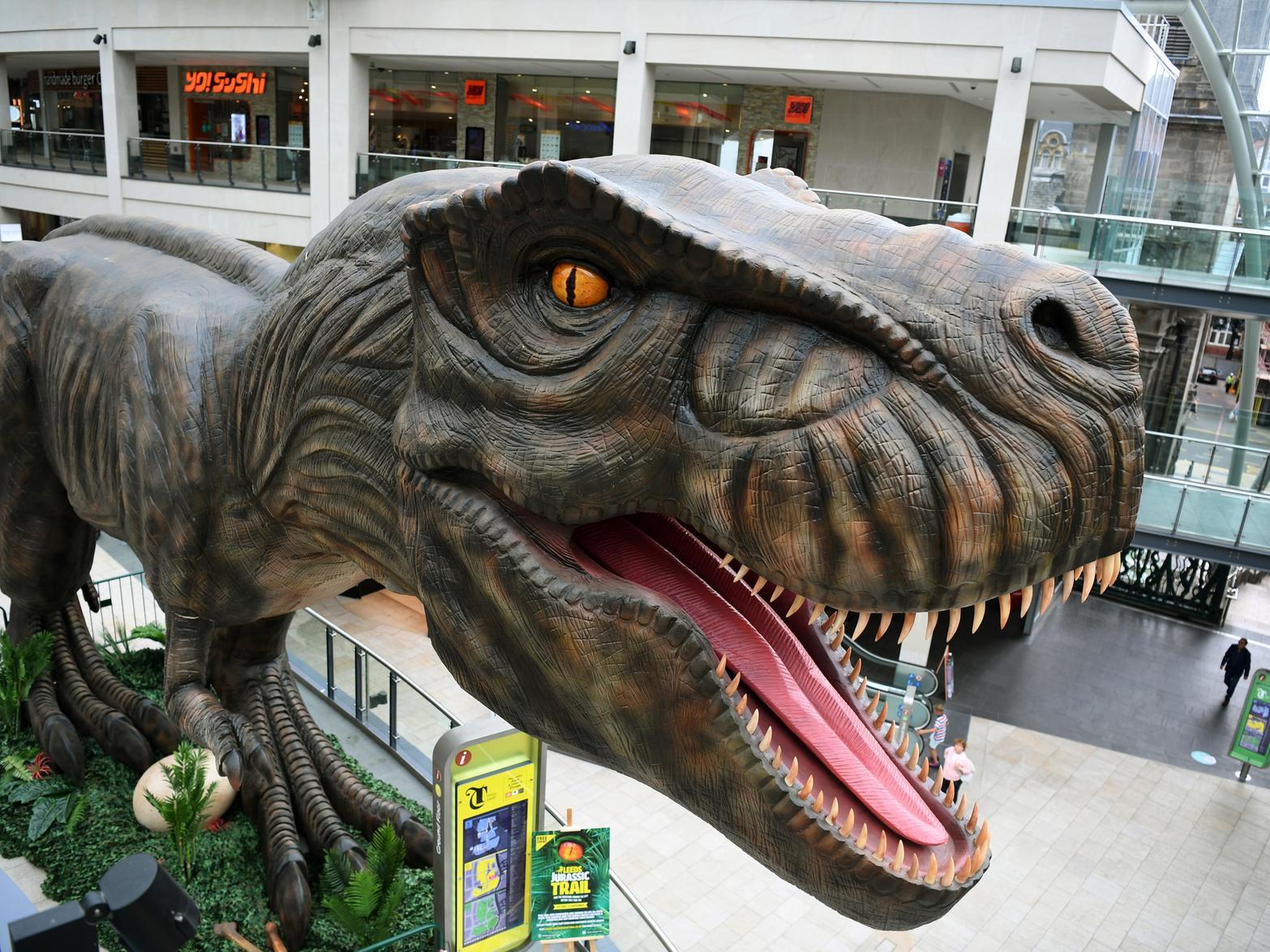The UKs first ever city centre animatronic dinosaur trail roared into life in Leeds. Giant dinosaurs took up residence across the city centre as part of the Leeds Jurassic Trail - a free event running during the summer holiday.