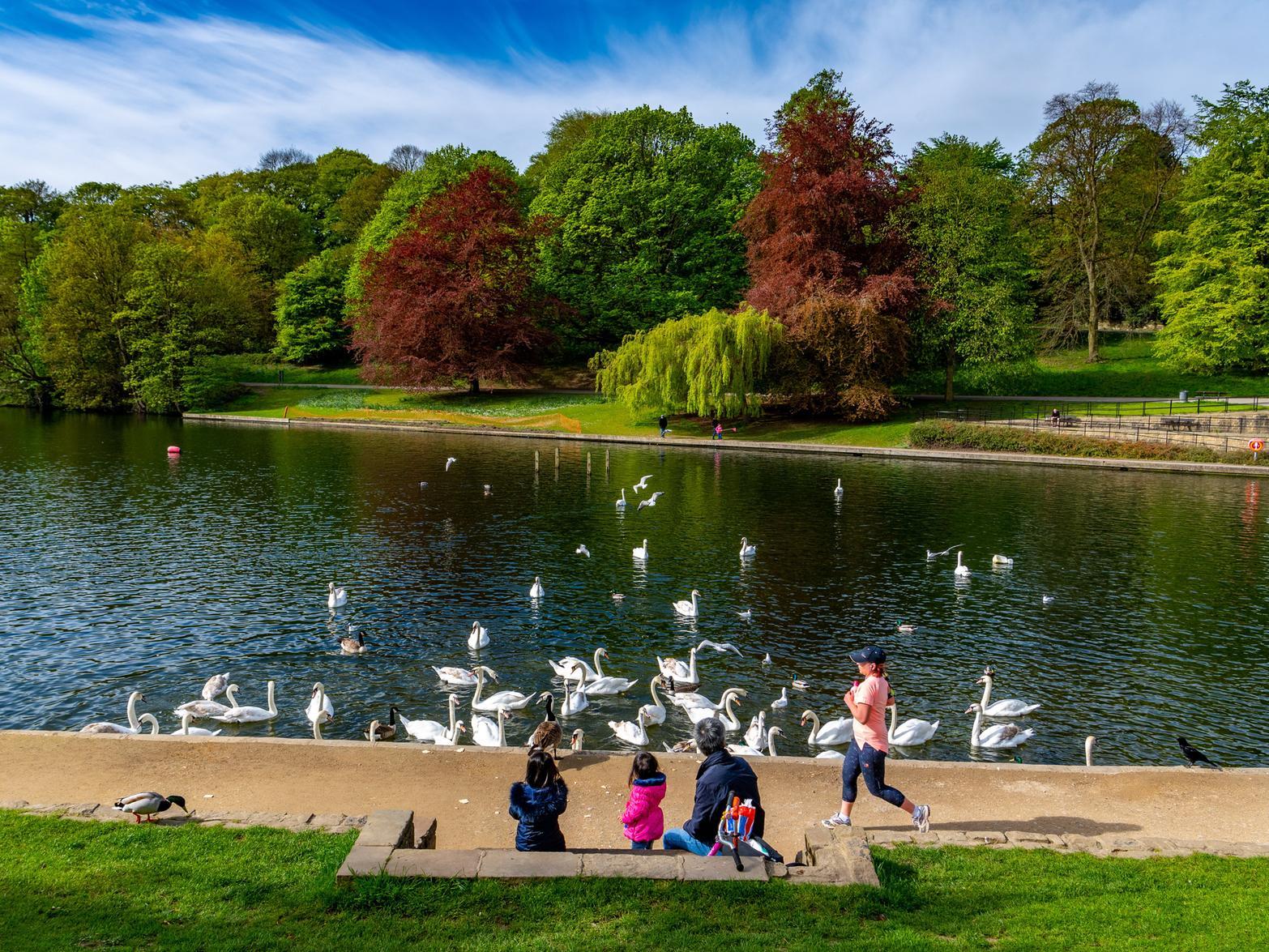 Families take advantage of the glorious weather in Roundhay Park,