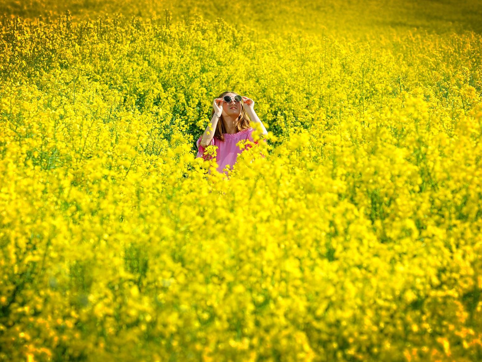Summer had arrived in Leeds. Fleur Hulme is pictured in a field of rape seed at Temple Newsam.
