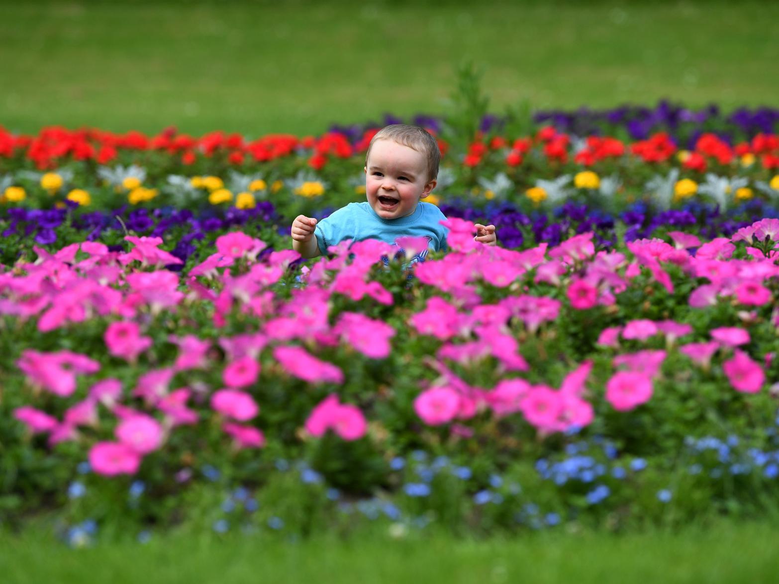 18-month-old Jaxon Mead enjoys the warm weather in Roundhay Park,