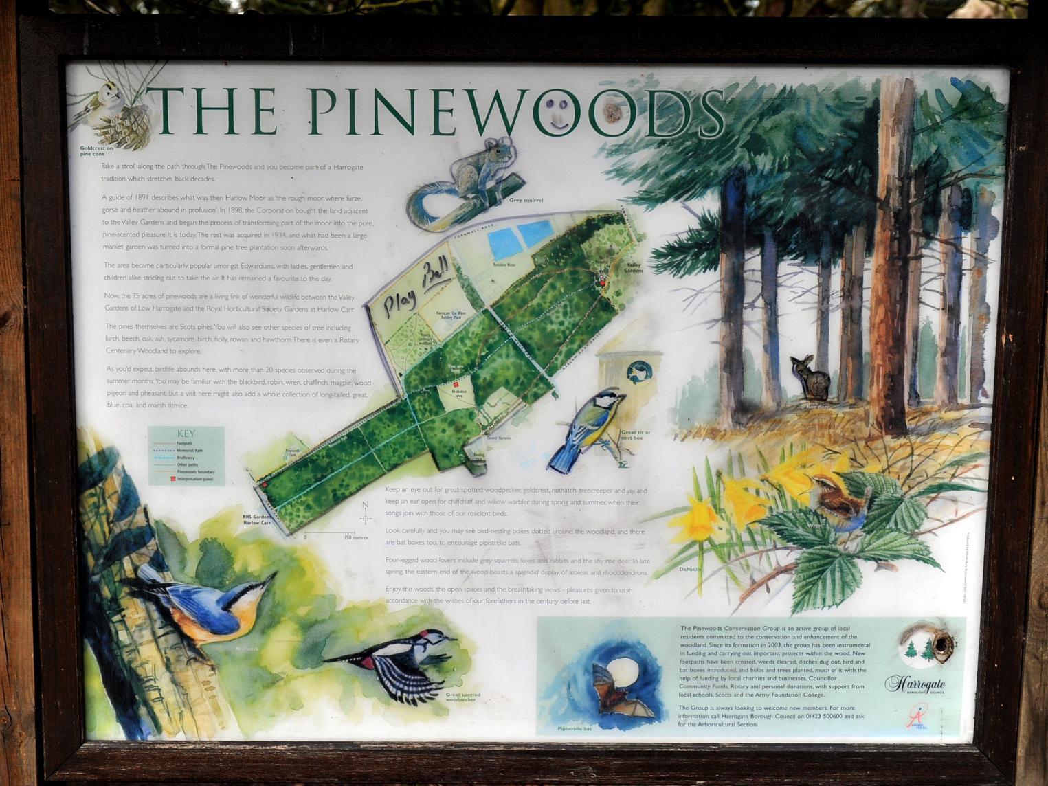 The perfect spot to take in all the wildlife Harrogate has to offer - and for an extra treat, why not walk all the way through The Pinewoods to Harlow Carr?
