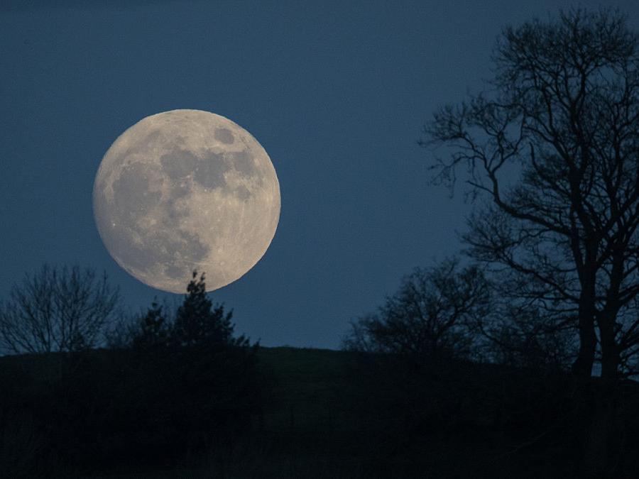 The full Wolf Moon will be visible on the evening of Friday 10 January (Photo: Getty Images)