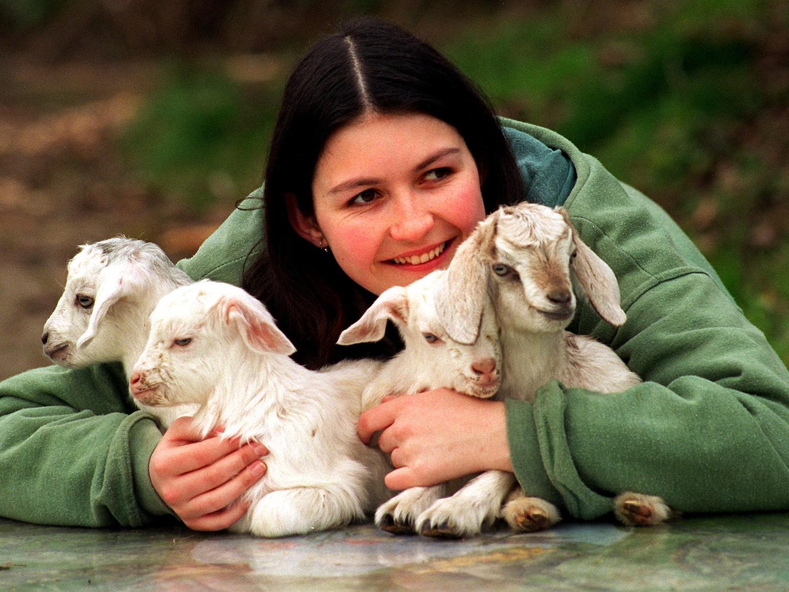 This is Joanne Barker from Meanwood Valley Urban Farm with four new born Angorra goats she had been looking after since their birth.