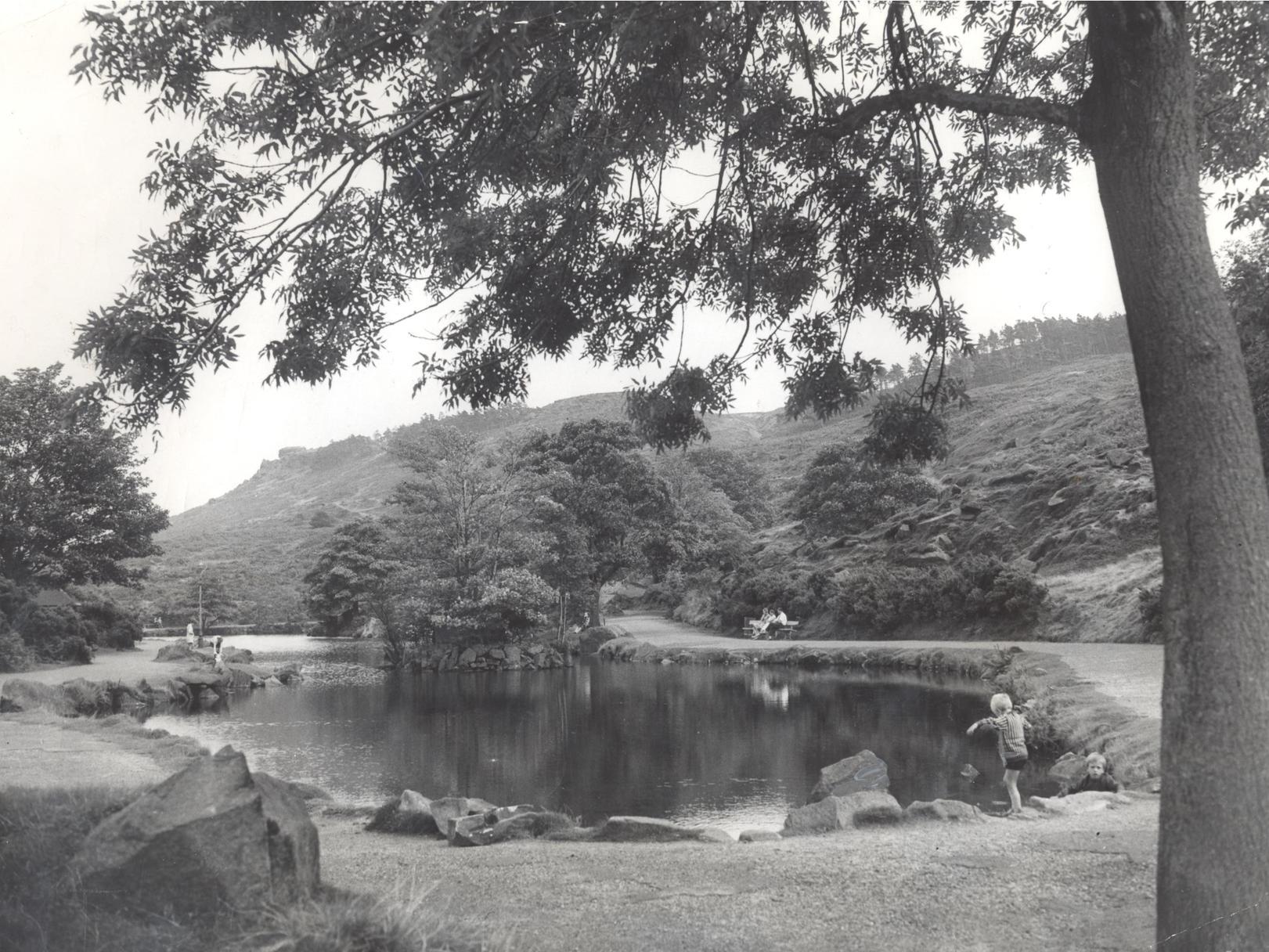 This scene is of Ilkley Tarn, a popular place in both summer and winter.