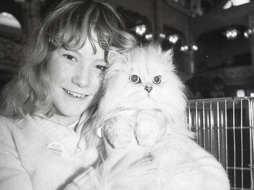The cream of the cat world came to Blackpool and boosted the tourist trade. Feline friends were out in force for the 17th championship show organised by Preston and Blackpool Cat Club. Pictured: Sharon Swarbrick, 15, of Galloway Road, Fleetwood, with one of her family cats, a pewter, named Chris, who was entered in the show