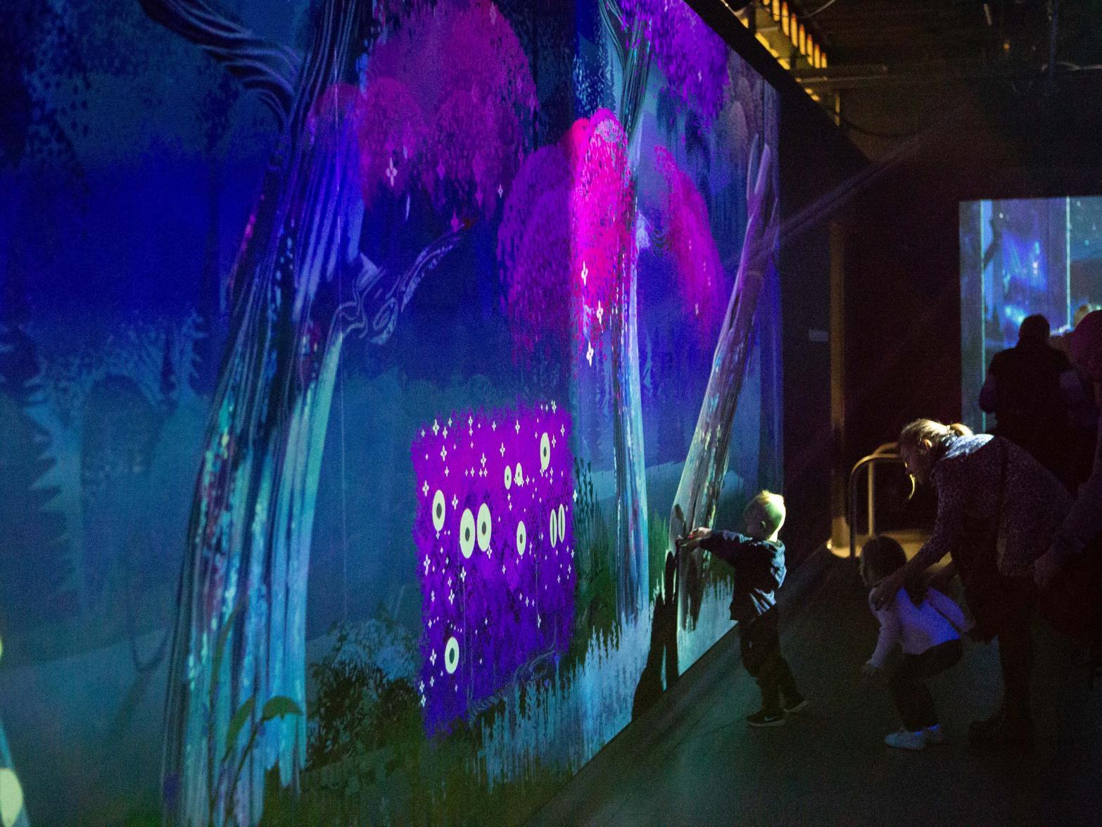Eureka!'s digital forest exhibition, Arboreal. Photo by Bruce Fitzgerald.