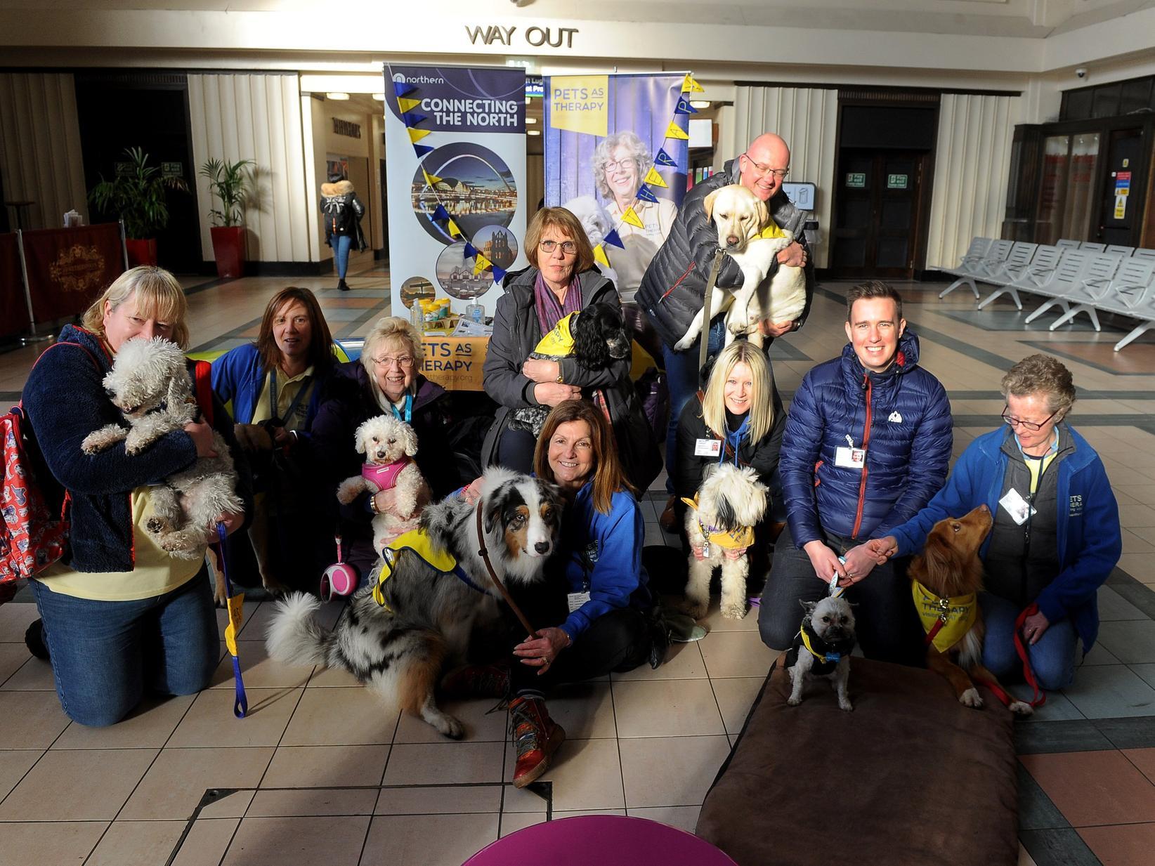 The dogs werethere as part of a collaboration between Pets As Therapy and train operator Northern.