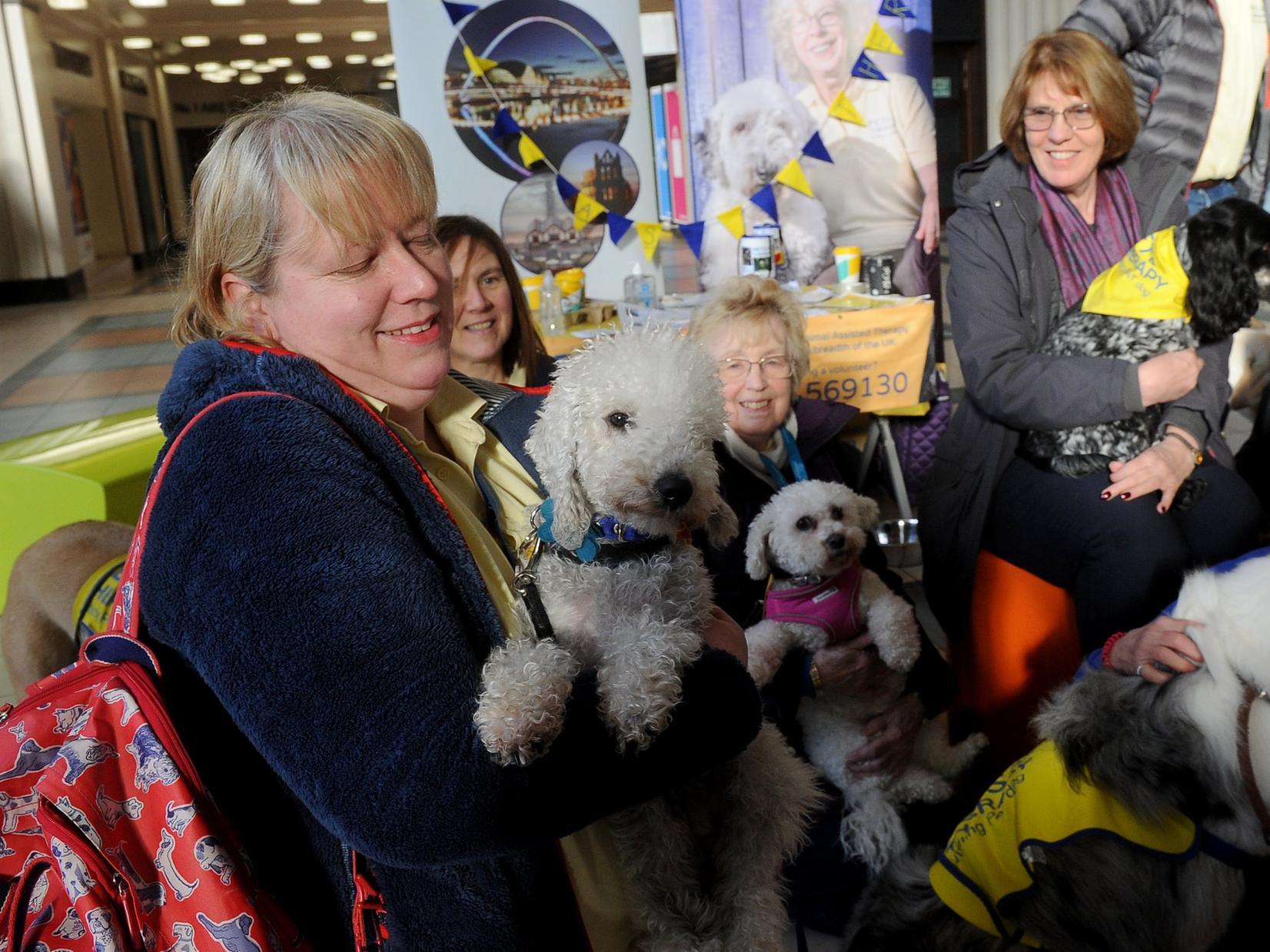 "We had around 10 patient pooches all open to strokes, cuddles and petting, and all on hand to give our customers a little lift as they face Blue Monday."