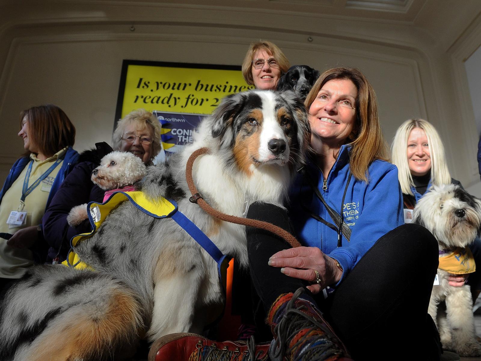 He added: "One of our conductors at Leeds works with Pets As Therapy - and has two dogs of her own...