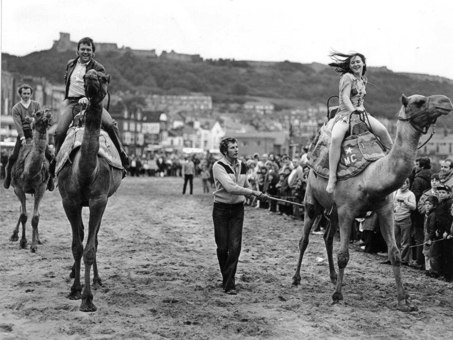 You might know that at one point camels raced on South Bay during the Scarborough carnival.You might even know why.