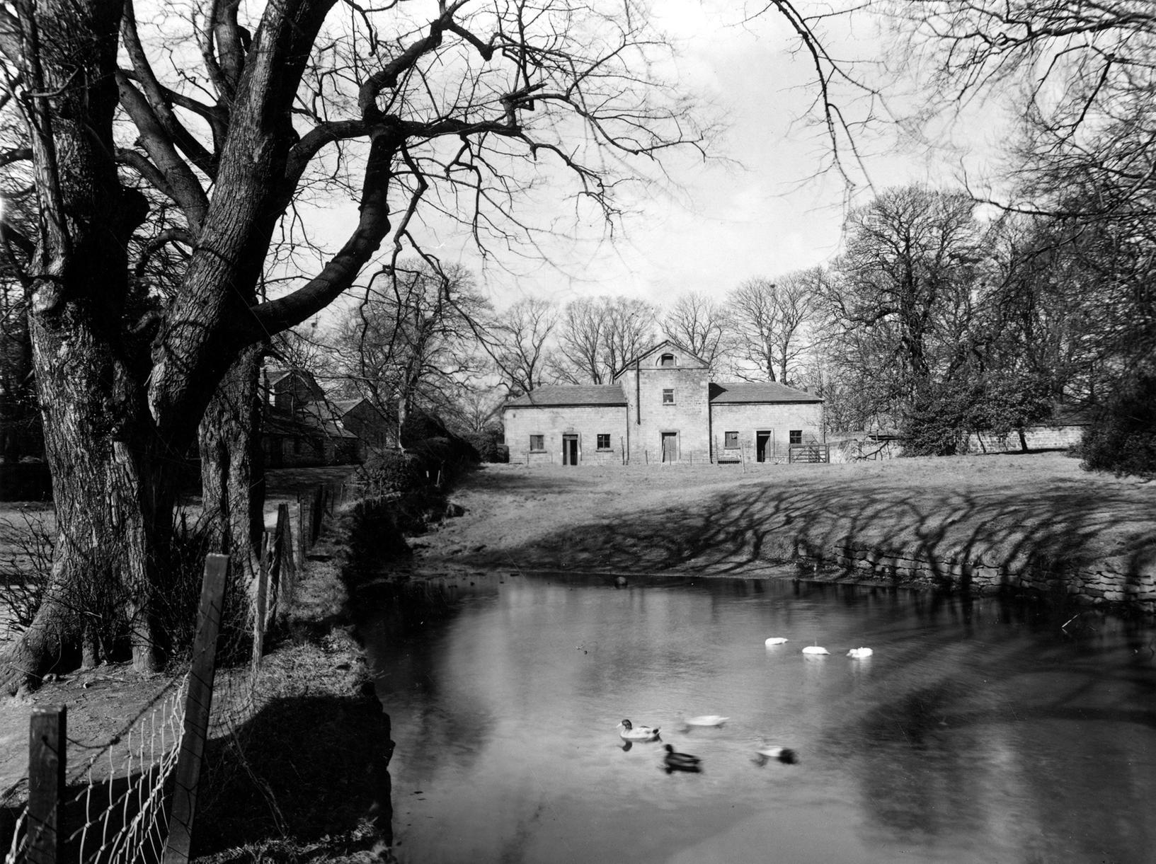 The Rectory at Adel. A view of the pond with ducks in, surrounded by grass land near the stone stable block  in the rectory grounds. A tree lined path leads to the back of the rectory itself to the left.