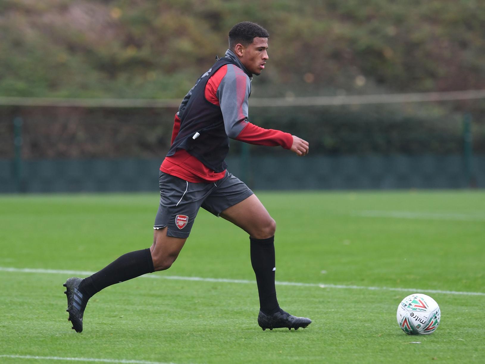 Nottingham Forest have seemingly signed former Arsenal academy midfielder Marcus McGuane, though their fans face a nervous wait for confirmation of international clearance.
