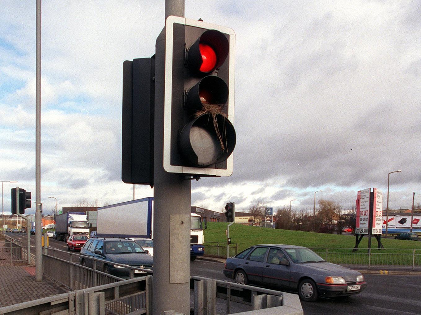 A bird was nesting in the traffic lights at the junction of Elland Road and Leeds Ring Road.