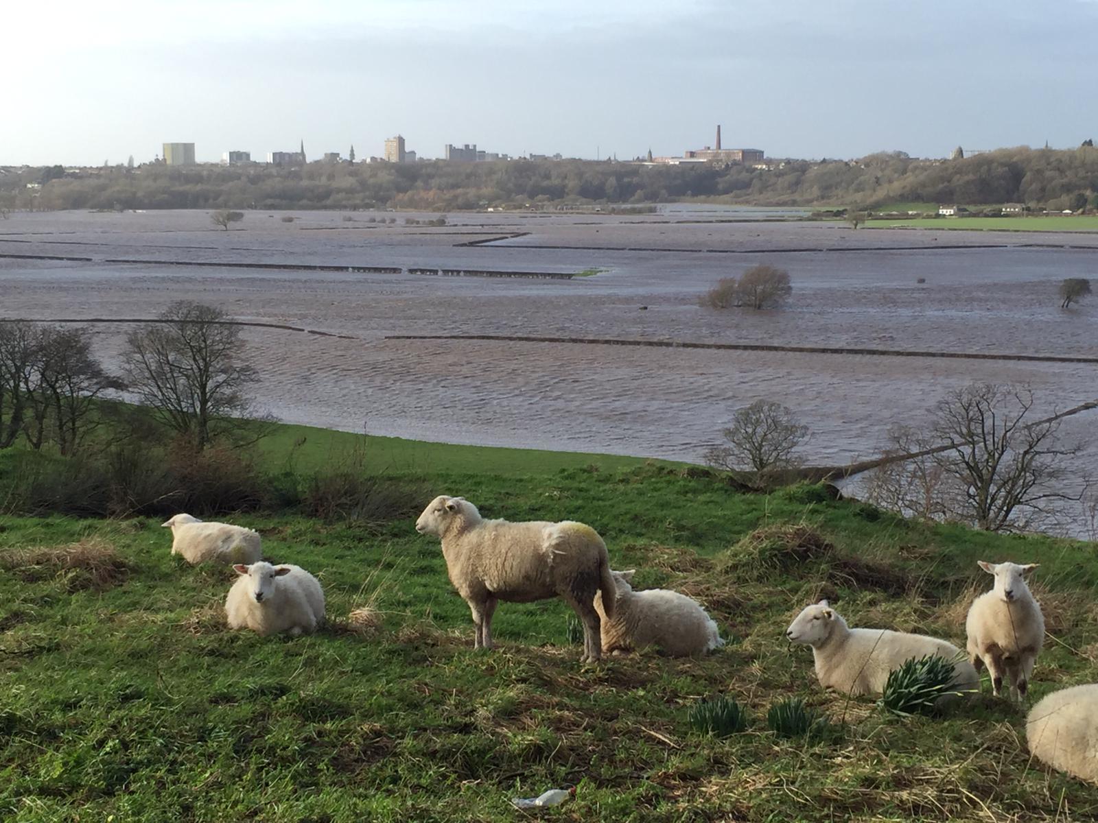 View of Preston across the high water levels of the River Ribble.