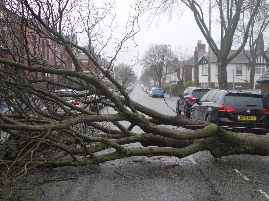In pictures: Storm Ciara downs trees and brings floods and travel chaos ...